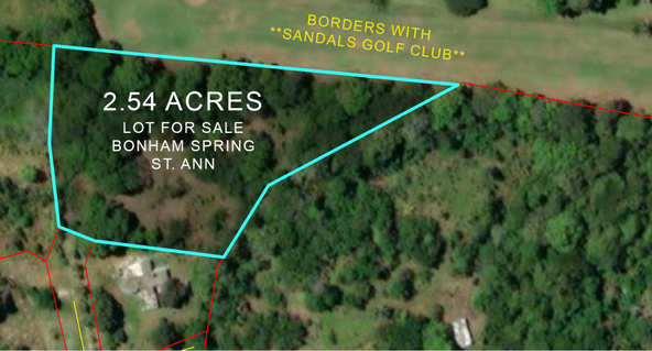 Second image of Bonham Spring in Ocho Rios, St. Ann, Jamaica - property is For Sale