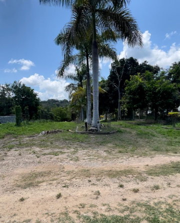 Fourth image of Bonham Spring in Ocho Rios, St. Ann, Jamaica - property is For Sale