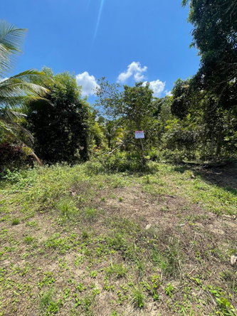 Fifth image of Bonham Spring in Ocho Rios, St. Ann, Jamaica - property is For Sale
