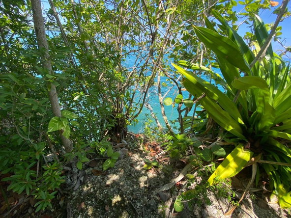 Eleventh image of 4 Boscobel in Boscobel, St. Mary, Jamaica - property is For Sale