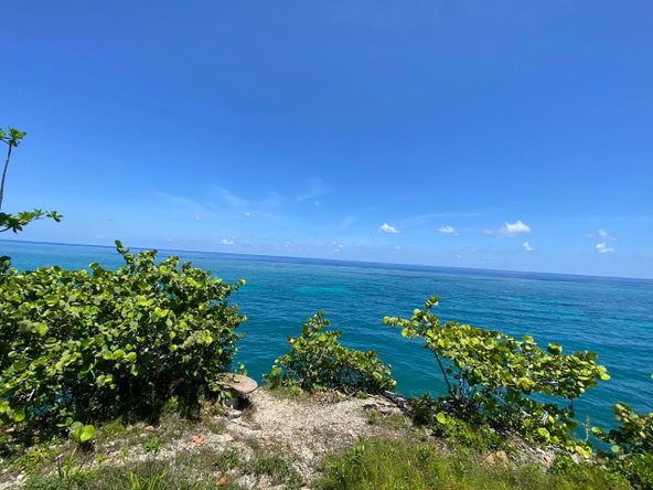 Twelfth image of 4 Boscobel in Boscobel, St. Mary, Jamaica - property is For Sale