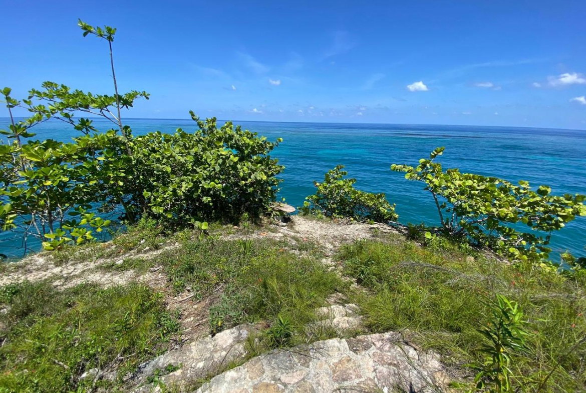 Fourth image of 4 Boscobel in Boscobel, St. Mary, Jamaica - property is For Sale