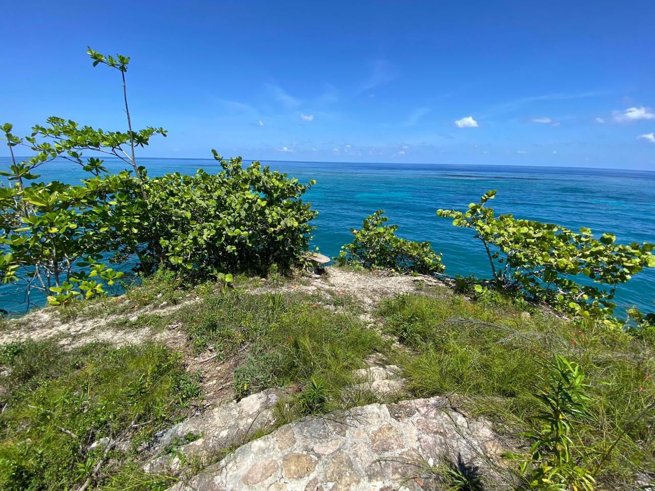 Prime-Residential-Lot-for-Sale-in-Boscobel-St.-Mary-Jamaica Fourth image of 4 Boscobel in Boscobel, St. Mary, Jamaica - property is For Sale