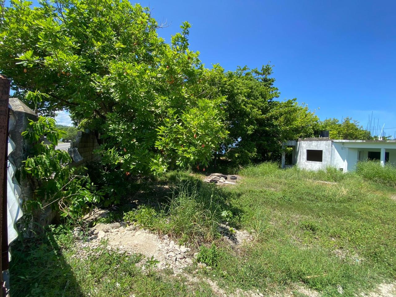 Prime-Residential-Lot-for-Sale-in-Boscobel-St.-Mary-Jamaica Seventh image of 4 Boscobel in Boscobel, St. Mary, Jamaica - property is For Sale