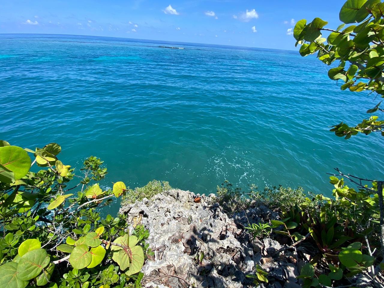Prime-Residential-Lot-for-Sale-in-Boscobel-St.-Mary-Jamaica Eighth image of 4 Boscobel in Boscobel, St. Mary, Jamaica - property is For Sale