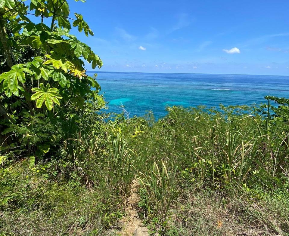 Ninth image of 4 Boscobel in Boscobel, St. Mary, Jamaica - property is For Sale