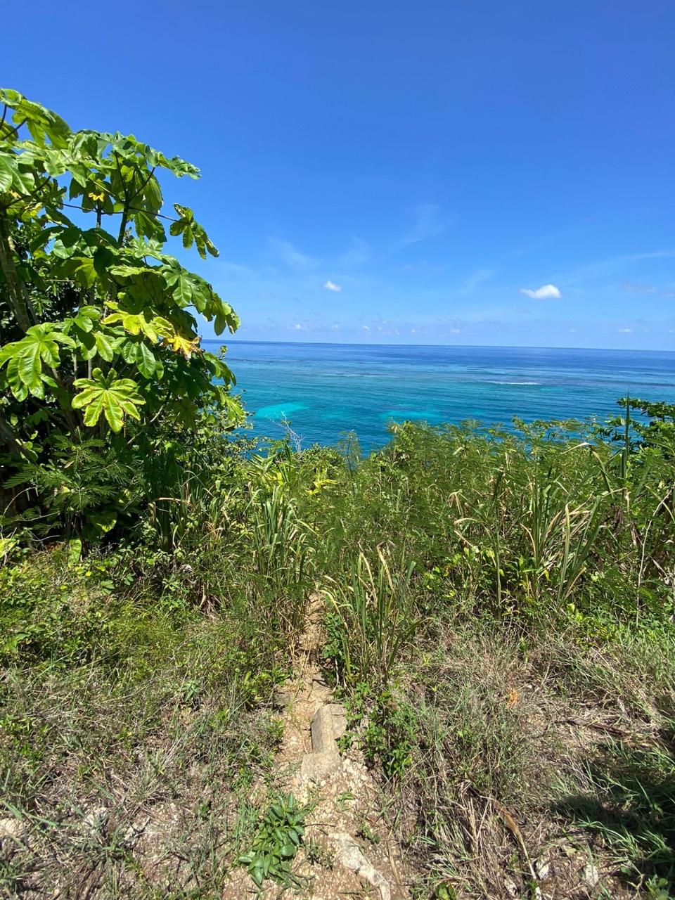 Prime-Residential-Lot-for-Sale-in-Boscobel-St.-Mary-Jamaica Ninth image of 4 Boscobel in Boscobel, St. Mary, Jamaica - property is For Sale