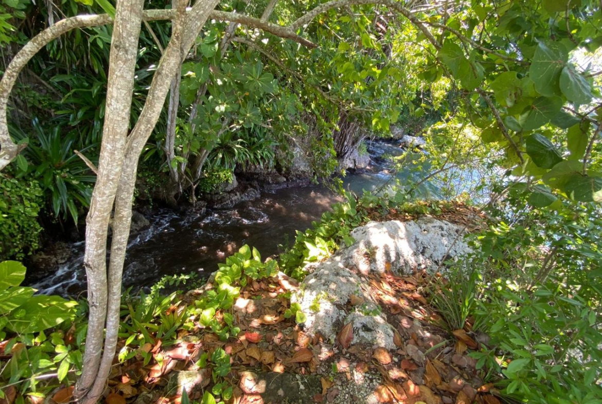 Tenth image of 4 Boscobel in Boscobel, St. Mary, Jamaica - property is For Sale