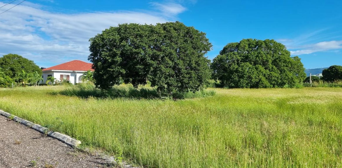 Third image of Lot #2 Part of Calabash Bay in Treasure Beach, St. Elizabeth, Jamaica - property is For Sale