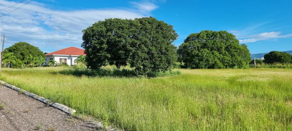 Third image of Lot #2 Part of Calabash Bay in Treasure Beach, St. Elizabeth, Jamaica - property is For Sale