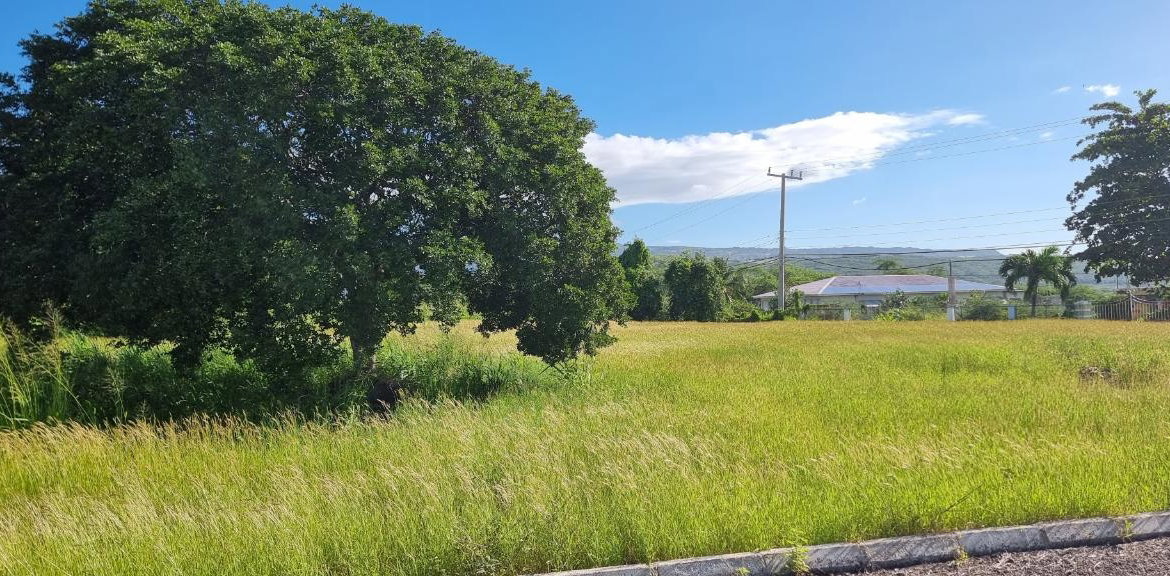 Sixth image of Lot #2 Part of Calabash Bay in Treasure Beach, St. Elizabeth, Jamaica - property is For Sale