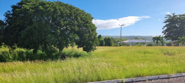 Sixth image of Lot #2 Part of Calabash Bay in Treasure Beach, St. Elizabeth, Jamaica - property is For Sale