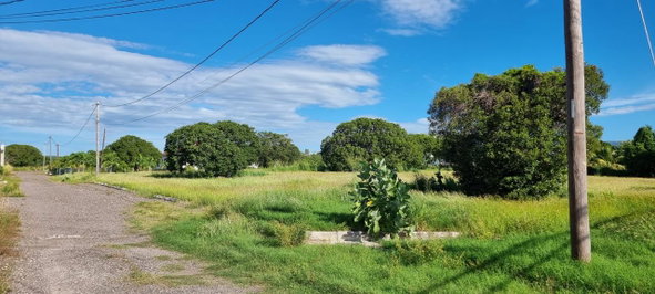 First image of Lot #2 Part of Calabash Bay in Treasure Beach, St. Elizabeth, Jamaica - property is For Sale