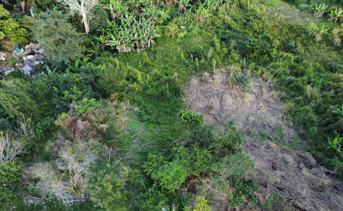 Thirteenth image of 30 Caland Heights in Walderston, Manchester, Jamaica - property is For Sale