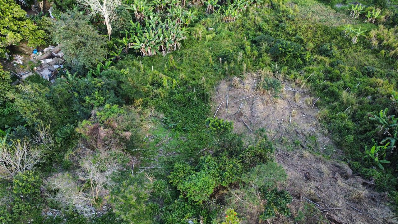 Thirteenth image of 30 Caland Heights in Walderston, Manchester, Jamaica - property is For Sale