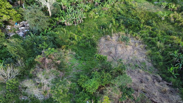 Thirteenth image of 30 Caland Heights in Walderston, Manchester, Jamaica - property is For Sale