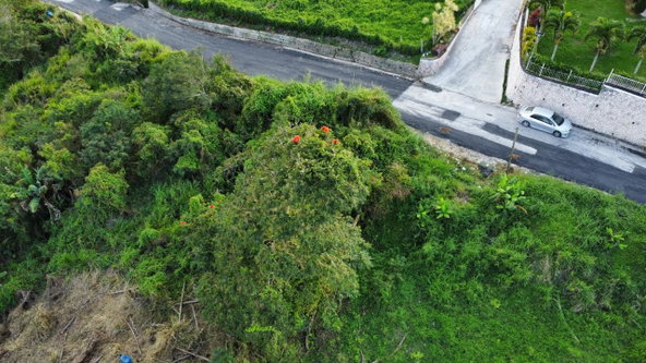 Fifteenth image of 30 Caland Heights in Walderston, Manchester, Jamaica - property is For Sale