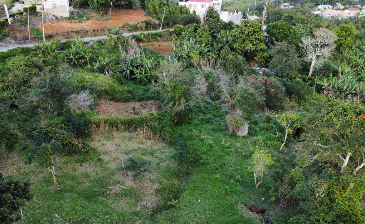 Seventeenth image of 30 Caland Heights in Walderston, Manchester, Jamaica - property is For Sale