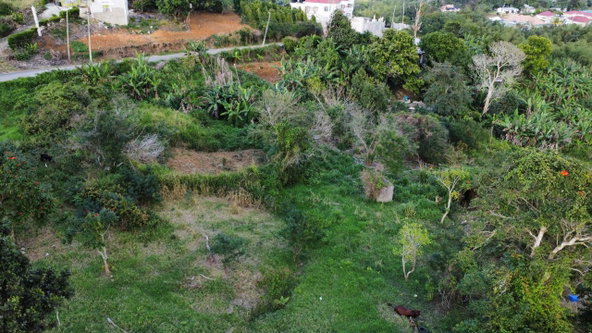 Seventeenth image of 30 Caland Heights in Walderston, Manchester, Jamaica - property is For Sale