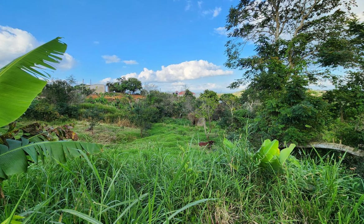 Fourth image of 30 Caland Heights in Walderston, Manchester, Jamaica - property is For Sale