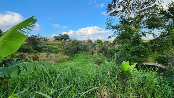 Fourth image of 30 Caland Heights in Walderston, Manchester, Jamaica - property is For Sale