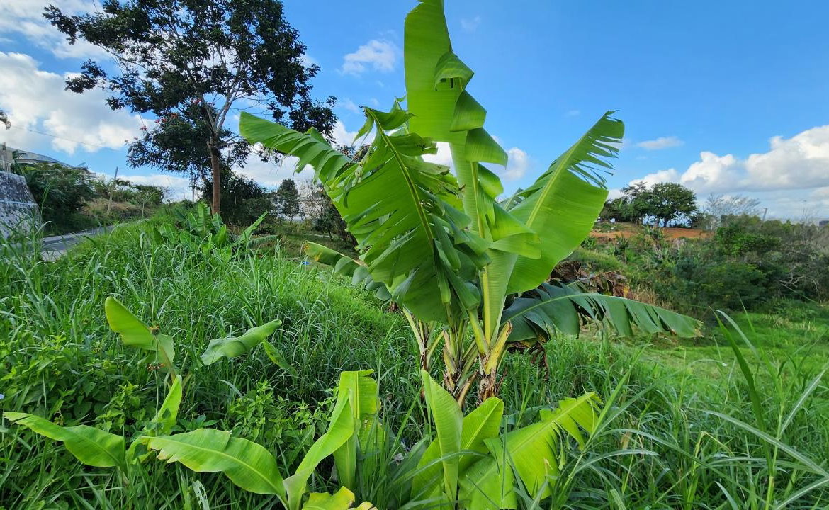Fifth image of 30 Caland Heights in Walderston, Manchester, Jamaica - property is For Sale