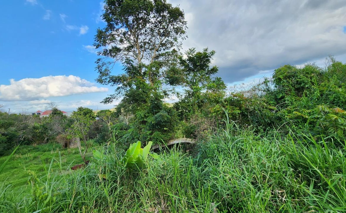 Sixth image of 30 Caland Heights in Walderston, Manchester, Jamaica - property is For Sale