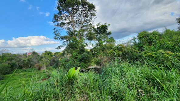 Sixth image of 30 Caland Heights in Walderston, Manchester, Jamaica - property is For Sale