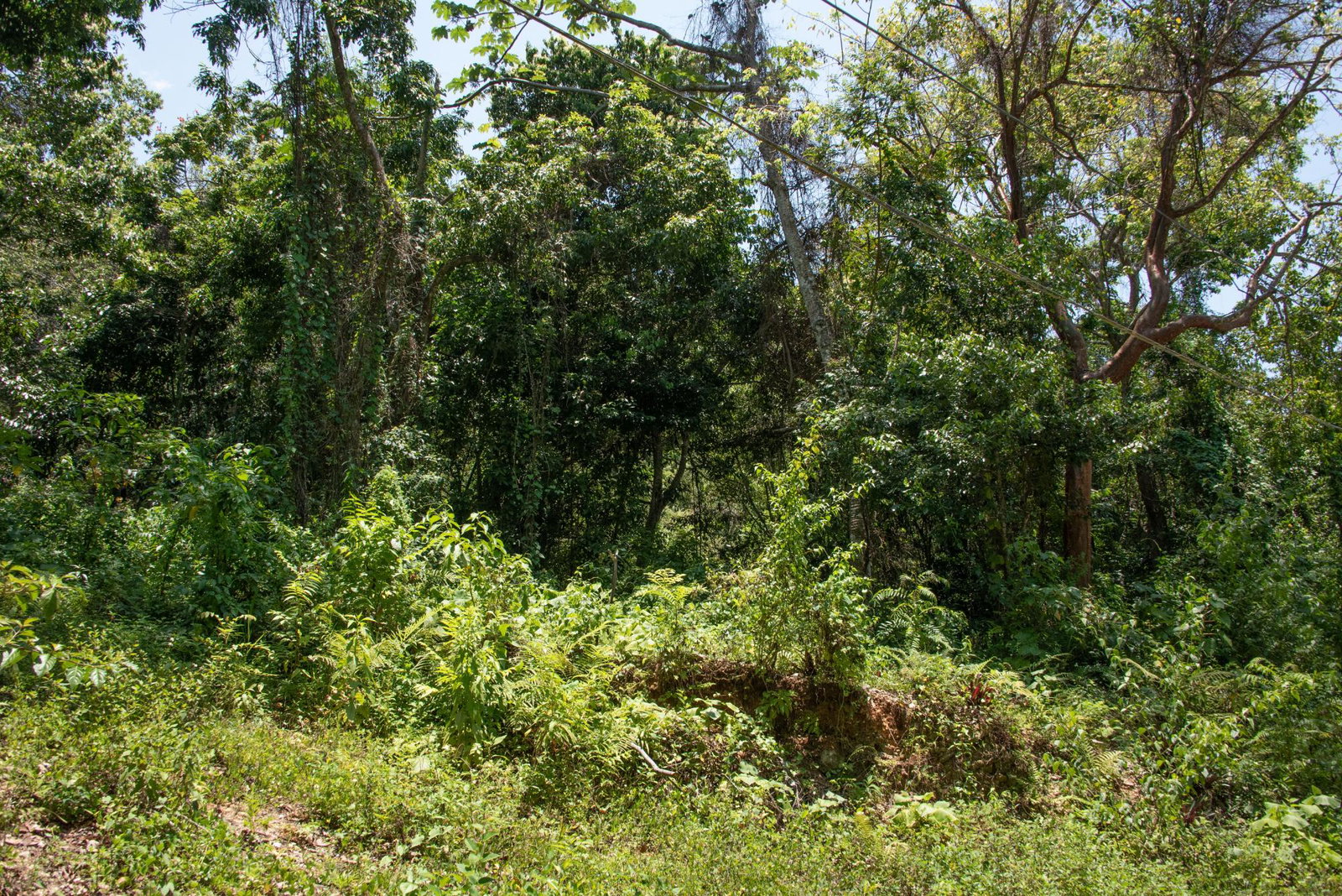 Sixth image of 265 Parl Road Cardiff Hall, r in Runaway Bay, St. Ann, Jamaica - property is For Sale