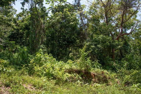 Sixth image of 265 Parl Road Cardiff Hall, r in Runaway Bay, St. Ann, Jamaica - property is For Sale