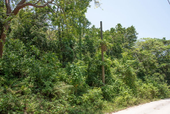 Tenth image of 265 Parl Road Cardiff Hall, r in Runaway Bay, St. Ann, Jamaica - property is For Sale