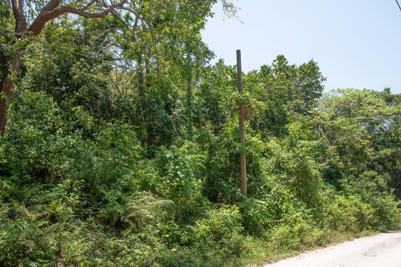 Eleventh image of 265 Parl Road Cardiff Hall, r in Runaway Bay, St. Ann, Jamaica - property is For Sale