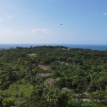 First image of 195 Lime Grove in Runaway Bay, St. Ann, Jamaica - property is For Sale