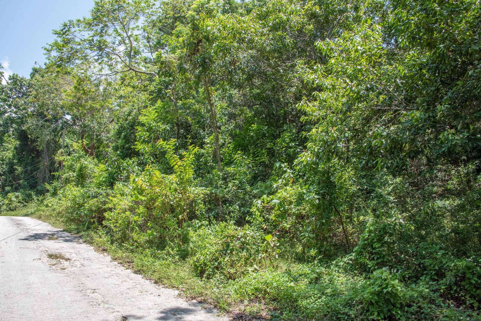 Twelfth image of 265 Parl Road Cardiff Hall, r in Runaway Bay, St. Ann, Jamaica - property is For Sale