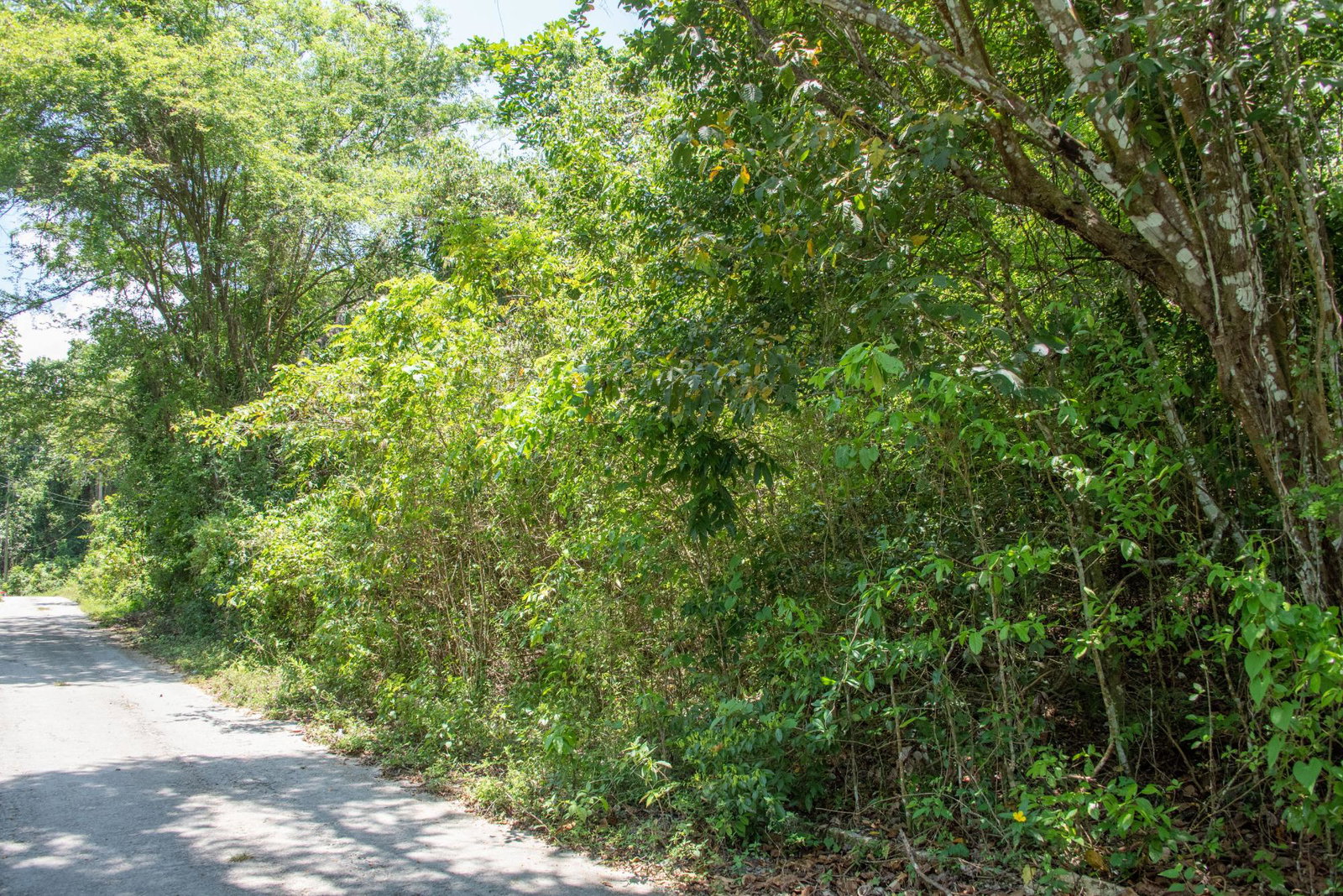 Thirteenth image of 265 Parl Road Cardiff Hall, r in Runaway Bay, St. Ann, Jamaica - property is For Sale