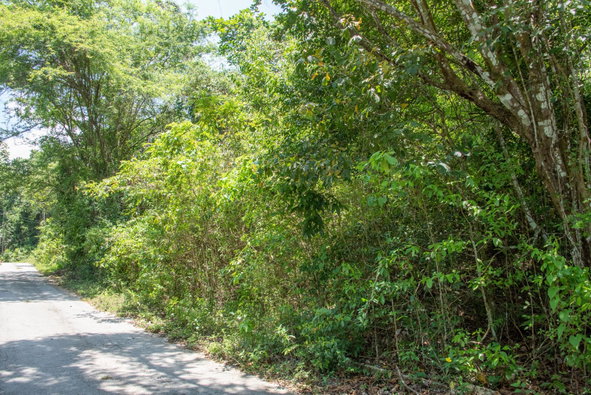 Thirteenth image of 265 Parl Road Cardiff Hall, r in Runaway Bay, St. Ann, Jamaica - property is For Sale