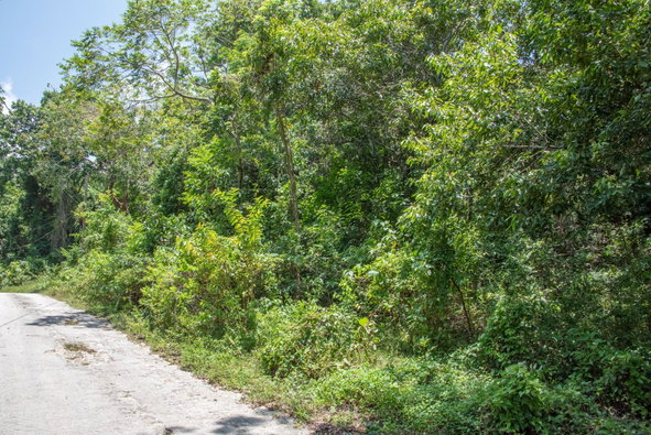 Fourteenth image of 265 Parl Road Cardiff Hall, r in Runaway Bay, St. Ann, Jamaica - property is For Sale