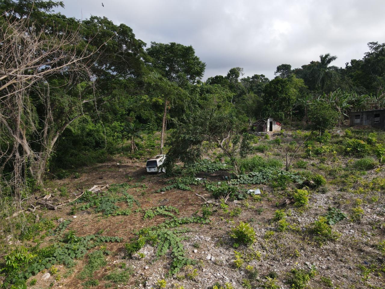 Fourth image of 195 Lime Grove in Runaway Bay, St. Ann, Jamaica - property is For Sale