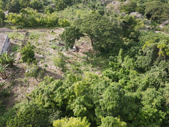 Fifth image of 195 Lime Grove in Runaway Bay, St. Ann, Jamaica - property is For Sale