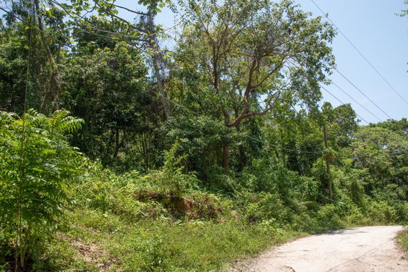 Third image of 265 Parl Road Cardiff Hall, r in Runaway Bay, St. Ann, Jamaica - property is For Sale