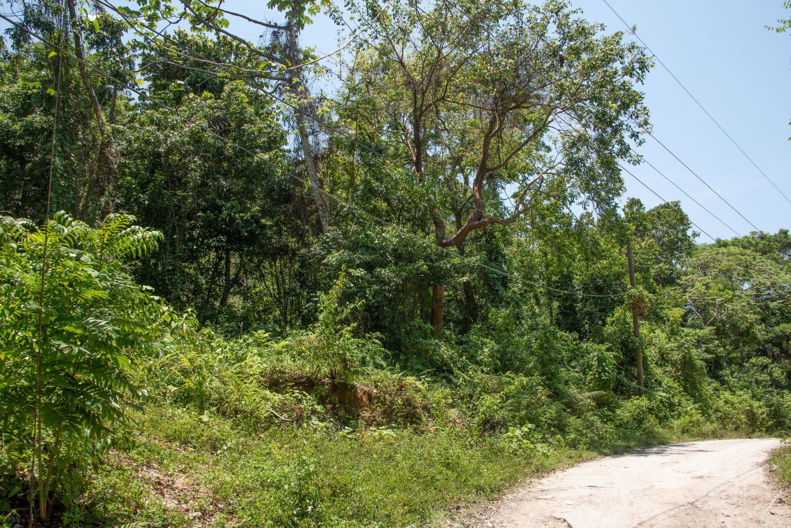 Fifth image of 265 Parl Road Cardiff Hall, r in Runaway Bay, St. Ann, Jamaica - property is For Sale