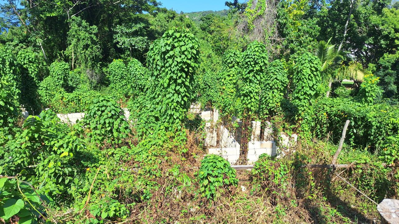 Second image of 9-rose Hill Cardiff Hall in Runaway Bay, St. Ann, Jamaica - property is For Sale