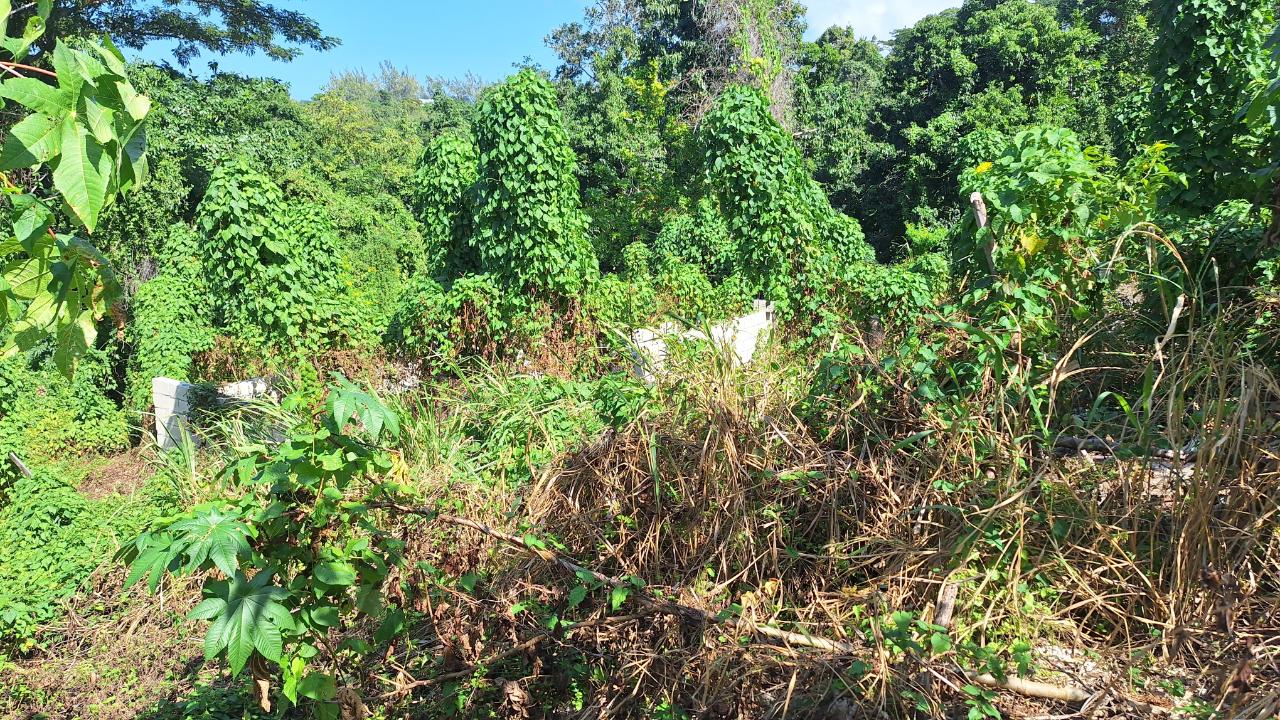 Third image of 9-rose Hill Cardiff Hall in Runaway Bay, St. Ann, Jamaica - property is For Sale