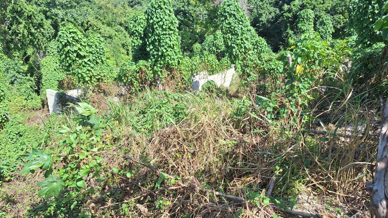 Fourth image of 9-rose Hill Cardiff Hall in Runaway Bay, St. Ann, Jamaica - property is For Sale