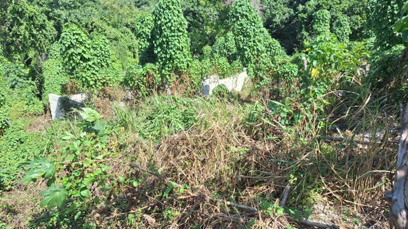 Fourth image of 9-rose Hill Cardiff Hall in Runaway Bay, St. Ann, Jamaica - property is For Sale