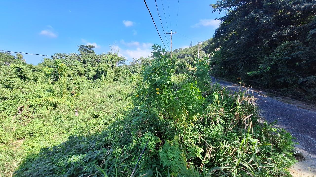Fifth image of 9-rose Hill Cardiff Hall in Runaway Bay, St. Ann, Jamaica - property is For Sale