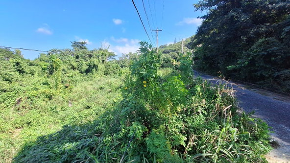 Fifth image of 9-rose Hill Cardiff Hall in Runaway Bay, St. Ann, Jamaica - property is For Sale