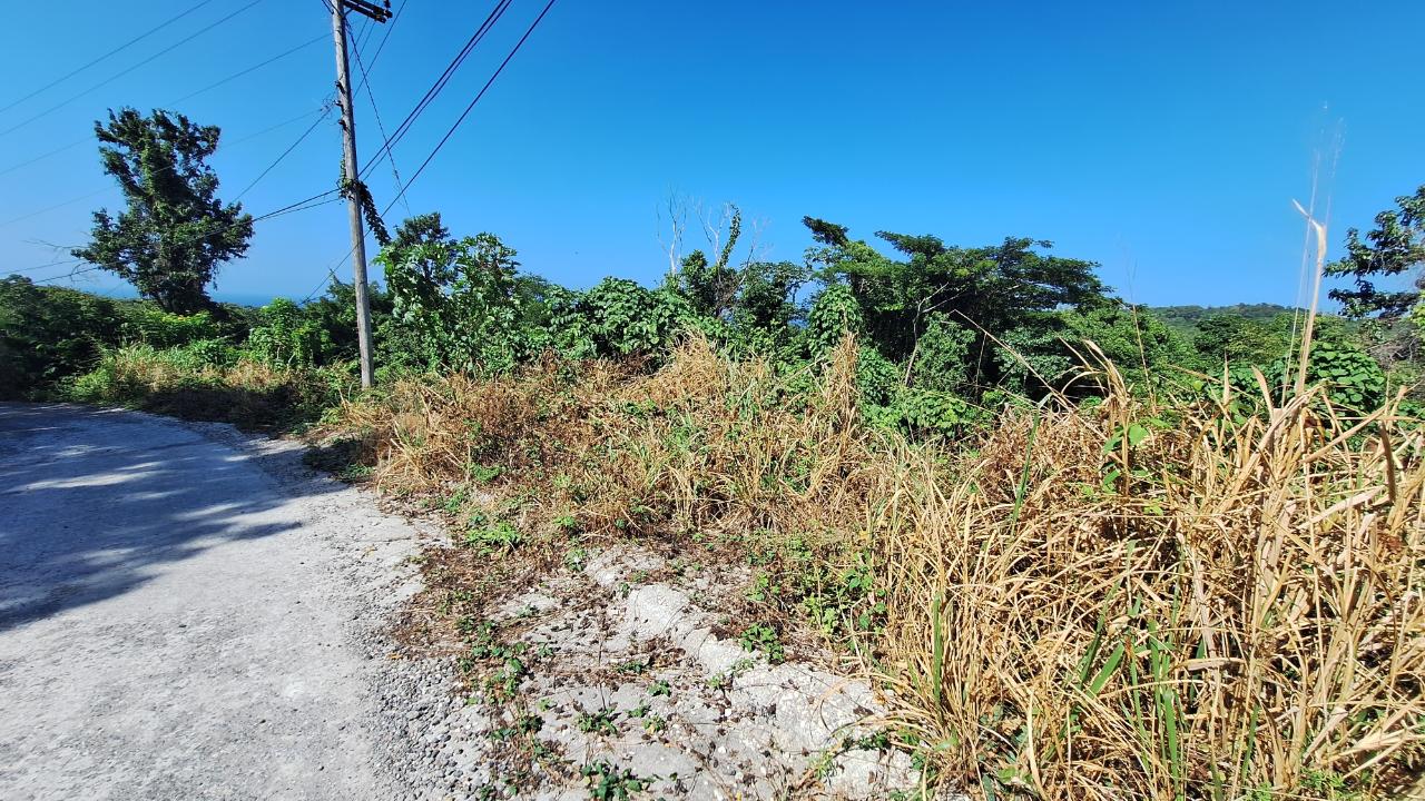 Sixth image of 9-rose Hill Cardiff Hall in Runaway Bay, St. Ann, Jamaica - property is For Sale
