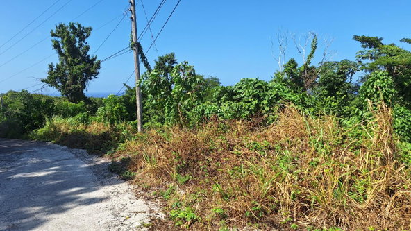 Seventh image of 9-rose Hill Cardiff Hall in Runaway Bay, St. Ann, Jamaica - property is For Sale