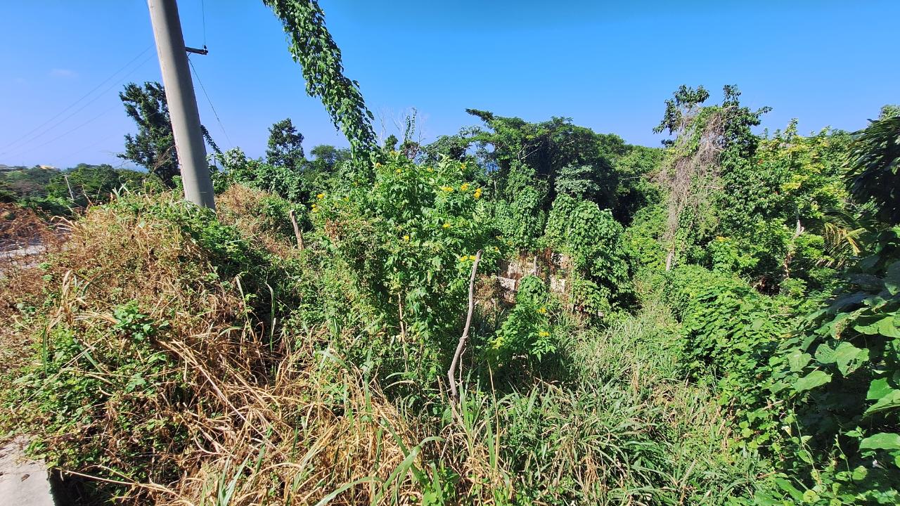 Eighth image of 9-rose Hill Cardiff Hall in Runaway Bay, St. Ann, Jamaica - property is For Sale